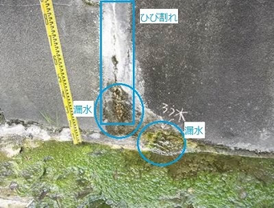 コンクリート構造物劣化調査画像